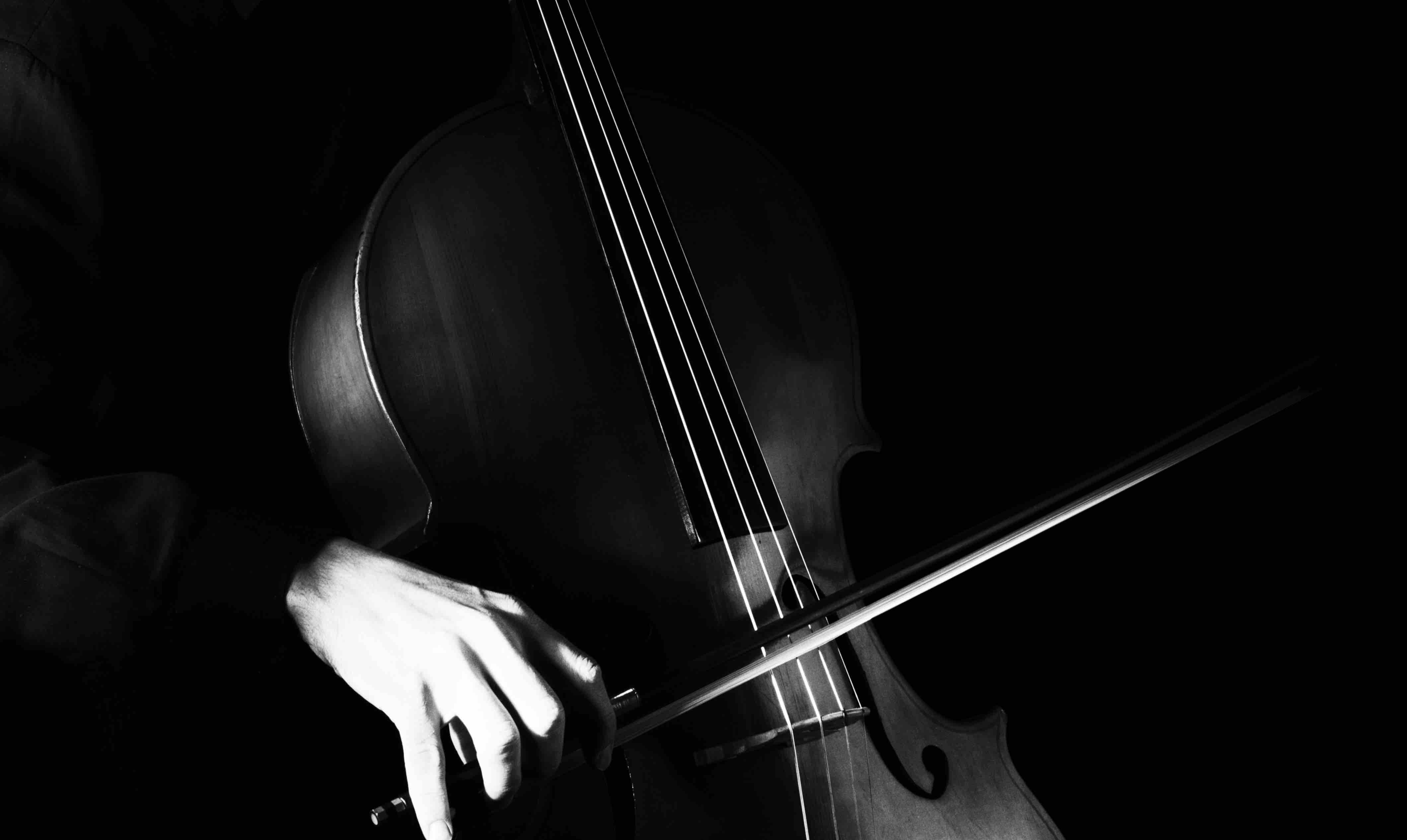 cours de violoncelle cursus adultes paris